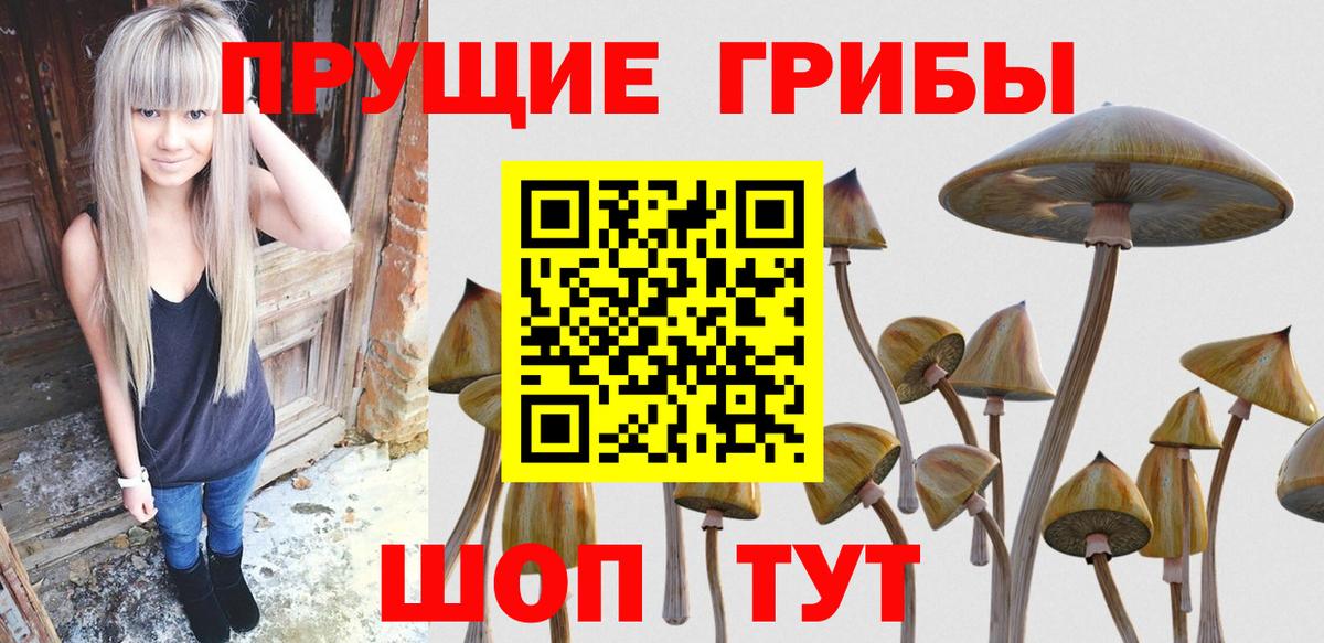 Галлюциногенные грибы Magic Shrooms Гусиноозёрск