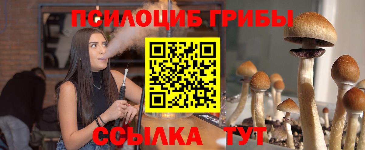 Гусиноозёрск  Псилоцибиновые грибы Cubensis  Вход с VPN  купить наркотики сайты  Псилоцибиновые грибы MAGIC MUSHROOMS 